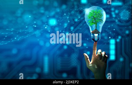 Hand holding Tree growing in light bulb. Ecology and Technology Convergence. Green Computing, Green Technology, Green IT, csr, and IT ethics Concept. Stock Photo