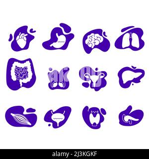 Human body organs, illustration Stock Photo
