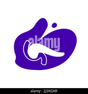 Human pancreas, conceptual illustration Stock Photo