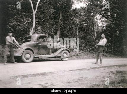 two young men stretch out a python they found, alongside their car by the side of the road, in northern new south wales, australia. Stock Photo