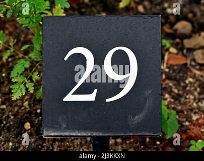 Number 29 printed on metallic plate Stock Photo