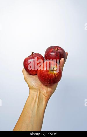 Red apples on hand in a bright background Stock Photo