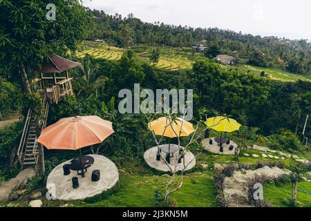 Lookout tree and tables with colorful umbrellas looking out at the rice fields and farm buildings on the hillside in Sambangan in the Sukasada Dist... Stock Photo