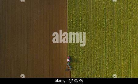 Drone photo of tractor ploughing field, Great Wilbraham; Cambridgeshire, England, United Kingdom Stock Photo
