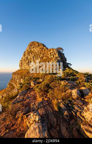 Lion's Head, a peaked mountain in Table Mountain National Park; Cape Town, Western Cape, South Africa Stock Photo