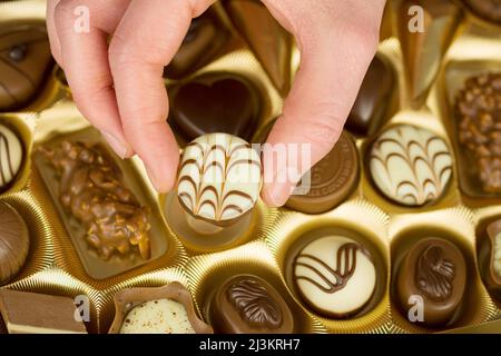 Take the praline out of the praline box Stock Photo
