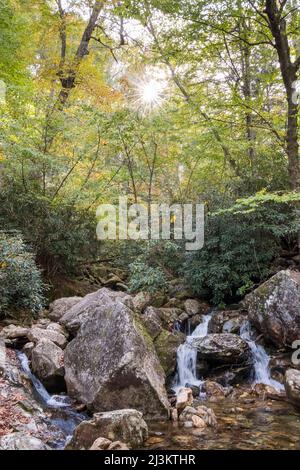 The sun bursts through the trees at Skinny Dip Falls near Looking Glass Overlook in North Carolina, USA; North Carolina, United States of America Stock Photo