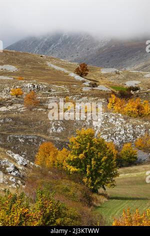 Autumnal landscape near Castel del Monte; L'Aquila, Abruzzo, Italy Stock Photo