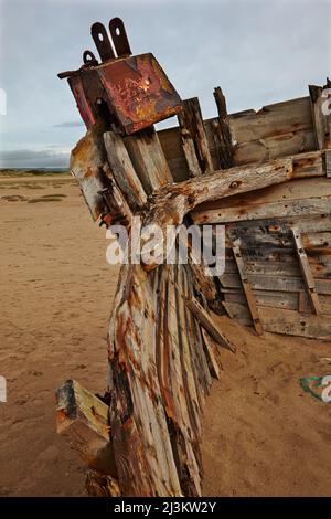 Weathered shipwreck lying in sand dunes at Crow Point, at the mouth of the Taw and Torridge Rivers, near Barnstaple, Devon, Great Britain Stock Photo