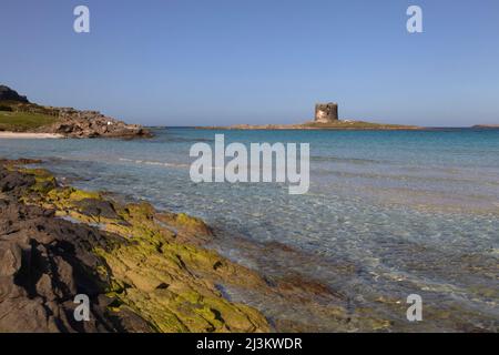 A view at Pelosa Beach, on the northern tip of Sardinia, Italy.; Pelosa Beach, Stintino, Sardinia, Italy. Stock Photo