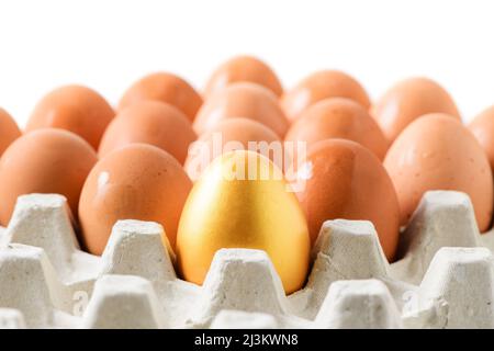 One golden egg among brown eggs in egg  tray isolated on white background, success or leader concept Stock Photo