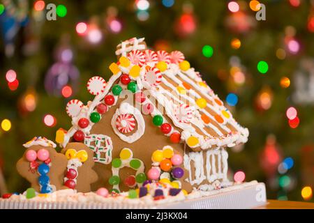 Gingerbread House and Christmas Tree; Portland, Oregon, United States of America Stock Photo