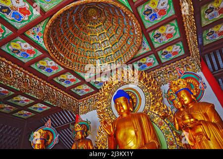 Buddha statues in the main hall at Chenxiangge Nunnery, Shanghai, China.; Nanshi, Old Town, Shanghai, China. Stock Photo