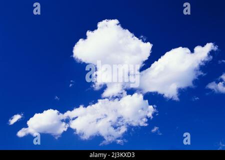 White puffy clouds floating in bright blue sky; Oregon, United States of America Stock Photo