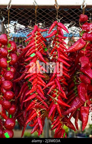 Row of red chilli peppers hanging on a stall Stock Photo - Alamy
