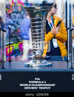 Fox Silver Limited - FIA Formula One World Drivers Championship Trophy