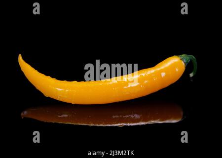 Chilli peppers on a black background. Fresh yellow hot chilli pepper. Stock Photo