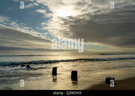 Old pilings leading from the beach to the ocean water under a cloudy sky; Berwick-upon-Tweed, Northumberland, England Stock Photo