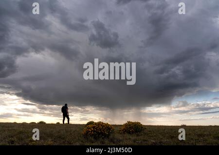 Woman watching a rain shower heading toward her on the Canadian prairies; Val Marie, Saskatchewan, Canada Stock Photo