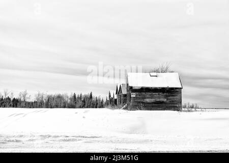 Weathered wooden buildings in a row across a snowy countryside during an Alberta winter, Frog Lake First Nation; Frog Lake, Alberta, Canada Stock Photo