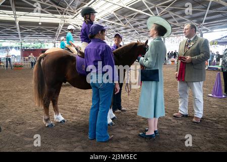 The Princess Royal awards Rosettes after watching a display organised by Riding for the Disabled Association, during a visit to open the Royal Agricultural Society of New South Wales Bicentennial Sydney Royal Easter Show in Sydney, during day one of the royal trip to Australia on behalf of the Queen, in celebration of the Platinum Jubilee. Picture date: Saturday April 9, 2022. Stock Photo