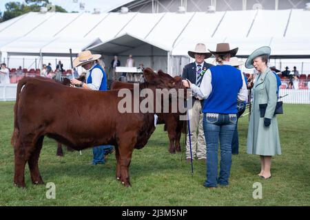 Exhibitors at the Sydney Royal Easter Show on Good Friday in Sydney