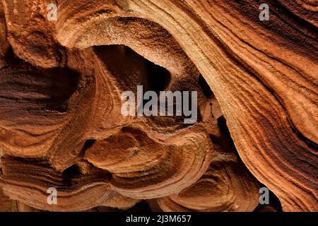 Detail of a gypsum crusted formation inside a cave in Auyan Tepui.; Gran Sabana, Venezuela. Stock Photo
