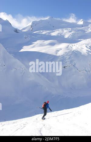 A back country snowboarder descends a snow field toward a glacier.; Selkirk Mountains, British Columbia, Canada. Stock Photo