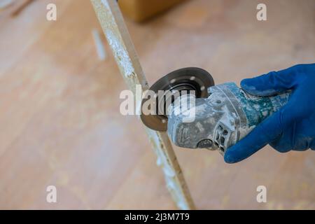 Master builder cuts a tile with machine circular saw Stock Photo