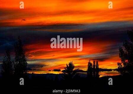 Dramatic colourful sky at sun set with silhouetted trees in the foreground; Calgary, Alberta, Canada Stock Photo