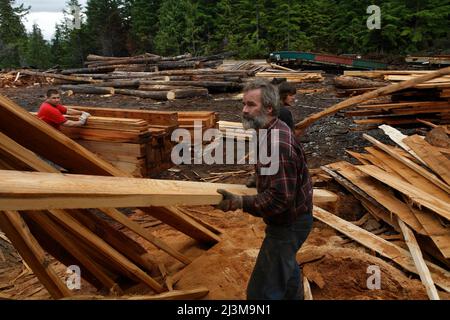 Timber is cut into cedar shakes and lumber for building and construction creating jobs for locals at a small sawmill operation on Prince of Wales I... Stock Photo