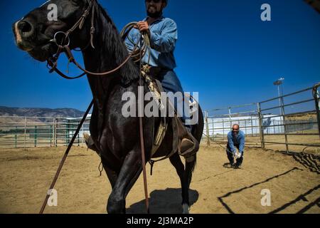 Inmates ride wild horses at the Warm Springs Correctional Center; Carson City, Nevada, United States of America Stock Photo
