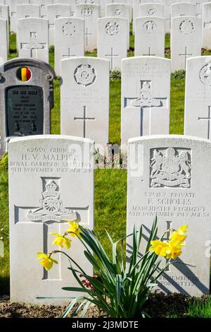 Military graves, Commonwealth cemetery, Zuydcoote, Nord, Hauts-de-France, France Stock Photo