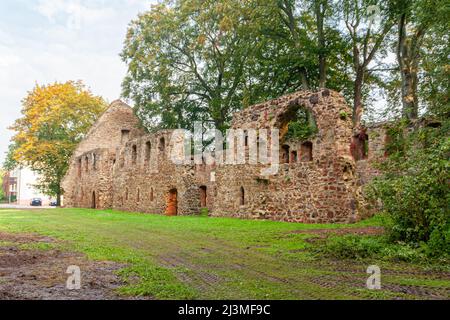 The ruins of the monastery church in Nimbschen, a former Cistercian abbey near Grimma in the Saxon district of Leipzig on the Mulde River in Germany. Stock Photo