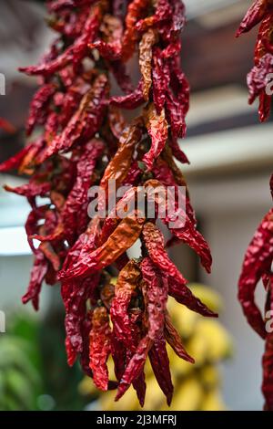 The Close up view of hanging hot dried chili peppers on the local farmers market Mercado dos Lavradores in Funchal Madeira, Portugal Stock Photo