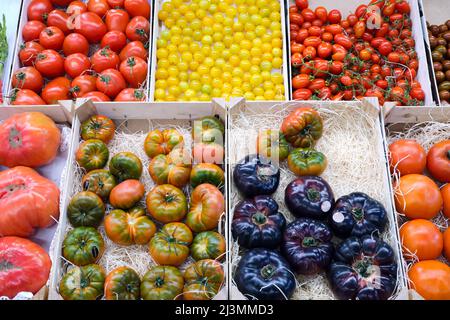 Tomatoes in different colors and shapes for sale at a market Stock Photo