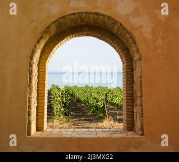 arched window on the vineyard Stock Photo