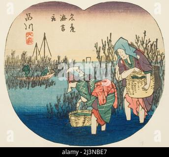 Gathering Seaweed At Omori In Shinagawa Shinagawa Omori Meisan Nori Tori Section Of Sheet No 1 From The Series Cutout Pictures Of The Tokaido Stock Photo Alamy