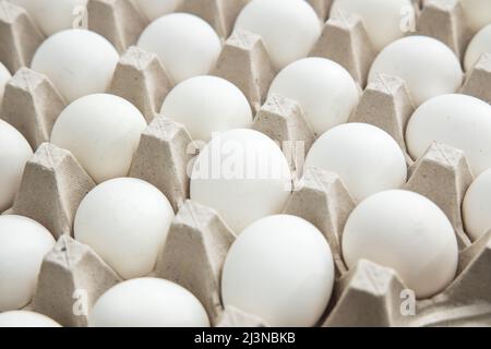 A whole pack of fresh eggs Stock Photo