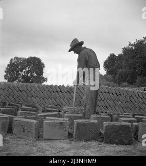 Bosque Farms project. Making adobe brick for school and permanent houses. New Mexico. Stock Photo