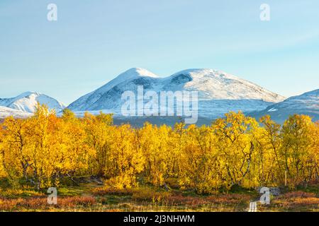 Abisko national park in september with autumn colors and snow on the mountains, Abisko national park, Swedish Lapland, Sweden Stock Photo