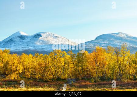 Abisko national park in september with autumn colors and snow on the mountains, Abisko national park, Swedish Lapland, Sweden Stock Photo