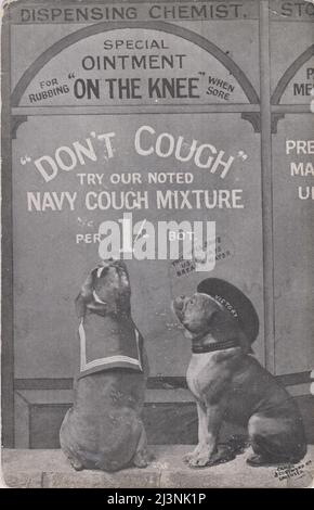 'On the knee': 2 dogs looking in a chemist's window at 'Navy cough mixture' & 'On the knee' ointment. The postcard relates to a Naval mutiny at Portsmouth in 1905. 'On the knee' was an order used by officers to command men to kneel when firing a small arms weapon, it could also be used as a humiliation. In 1905 a group of unruly stokers refused to kneel when ordered on the parade ground & subsequently rioted. It was rumoured that the officer had called them 'dirty dog'. Some were court martialled & one man, Edward Allen Moody was sentenced to 5 years imprisonment, causing public outrage. Stock Photo