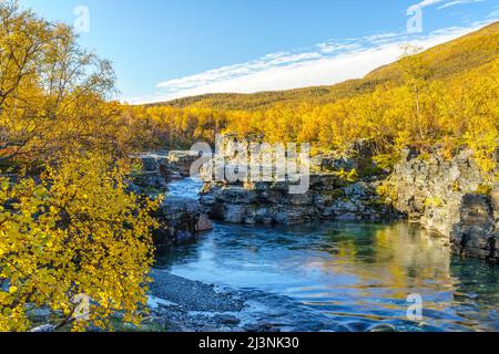 Abisko river in autumn season with autumn colors  and blue sky, Abisko national park, Swedish Lapland, Sweden Stock Photo