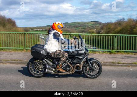 2013 diavel cromo