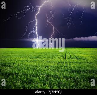 Thunderstorm with lightning in green meadow. Stock Photo