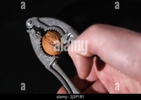 Walnuts on a dark background. Nutcracker close-up. Stock Photo