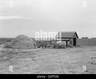 Small farm. Kern County, California. Stock Photo