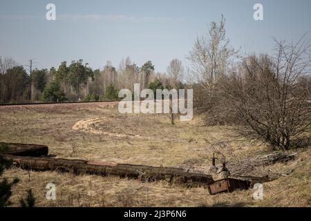 Chernobyl, Ukraine. 10th April, 2019. The Red Forest near the Chernobyl Nuclear Power Plant, destroyed in the Chernobyl disaster in 1986. The plant now sits in the Chernobyl Exclusion Zone in Ukraine. The Red Forest is one of the most radioactive sites on Earth. Stock Photo