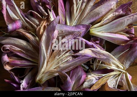 dying lily flowers Stock Photo